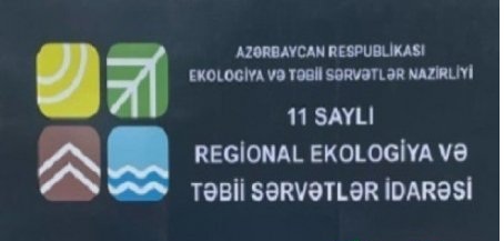 Masallıda AĞACYEYƏNLƏR İŞ BAŞINDA... -