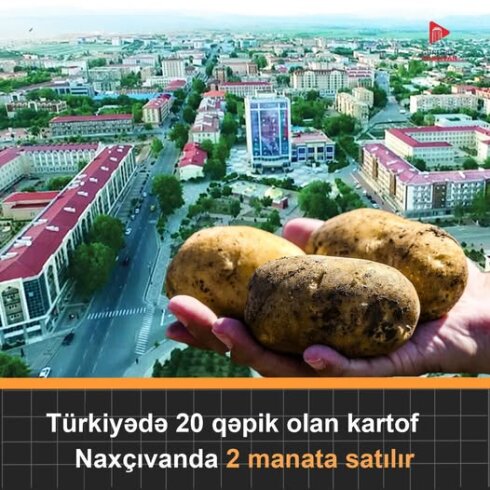 Naxçıvanda vətəndaşa heyvan yemi olan kartofu satırlar... - ETİRAZ VAR...