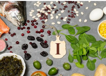 Bitki mənşəli proteinlərin üstünlükləri və hansı qidalarla təmin etmək olar?