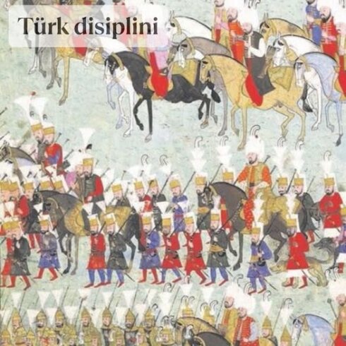 Türk disiplini