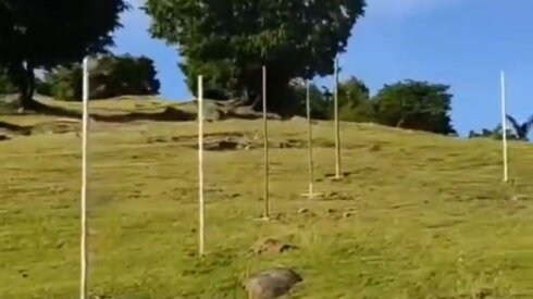 İsmayıllıda dağı hansı məmur zəbt edib- Video