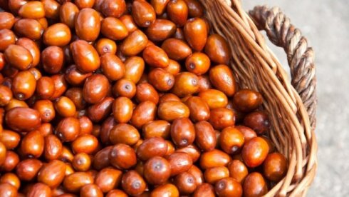 İydənin faydaları nələrdir?