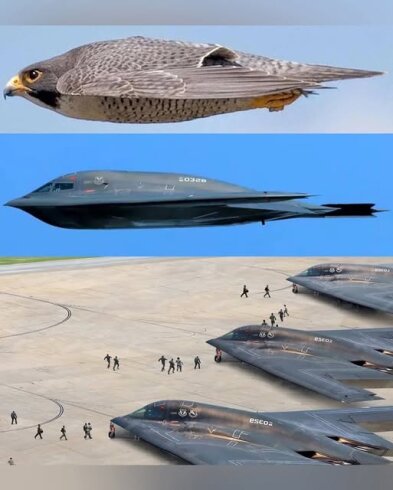 B-2 Spirit ABŞ-ın istehsalı olan strateji bombardman təyyarəsidir.