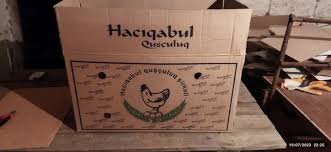 “Hacıqabul Quşçuluq Şirkəti” 6 ay soyuducuda saxlanmış yumurtaları təzə adı ilə satır