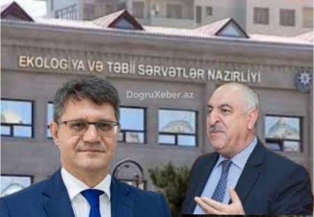 Yaşıllıq düşmənləri: ağaclar kəsildikcə vicdanlar susur - VİDEO