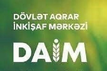 Füzuli DAİM-i uçuruma aparan cütlük
