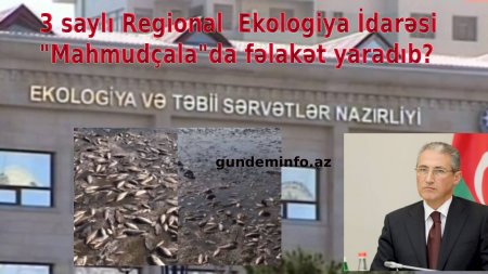 Biləsuvarda dəhşətli ekoloji fəlakət -