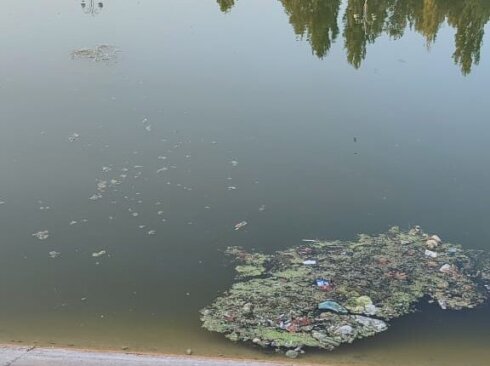 Bərdənin mərkəzi parkında antisanitariya: