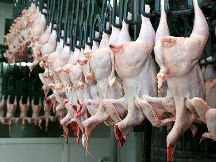 Azərbaycanda quş əti ilə özünütəminat səviyyəsi kəskin azaldı - "Qanunvericiliyi bəhanə edən yerli icra hakimiyyətləri buna imkan vermir"