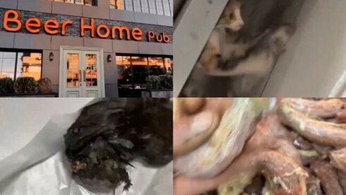 “Beer Home Pub” restoranında müştərilərə belə qida verilir?-Video