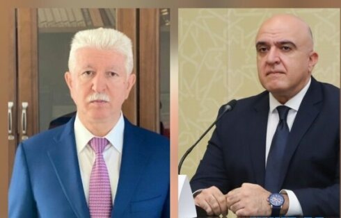 Cəlilabadda ağacyeyənlər peyda olub?! - FOTO