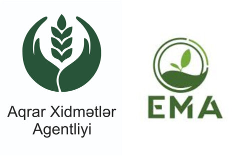 Aqrar Xidmətlər Agentliyində aşkarlanan qanunsuz əməllərdə “EMA” QSC-nin payı nə qədərdir